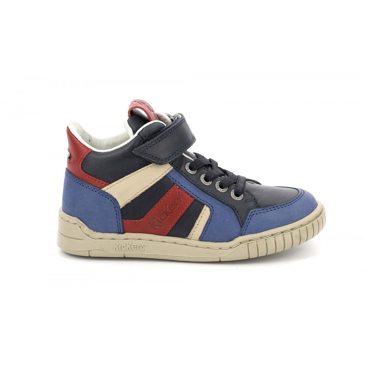 wincky-cdt-26-rakuten-3616426663513
