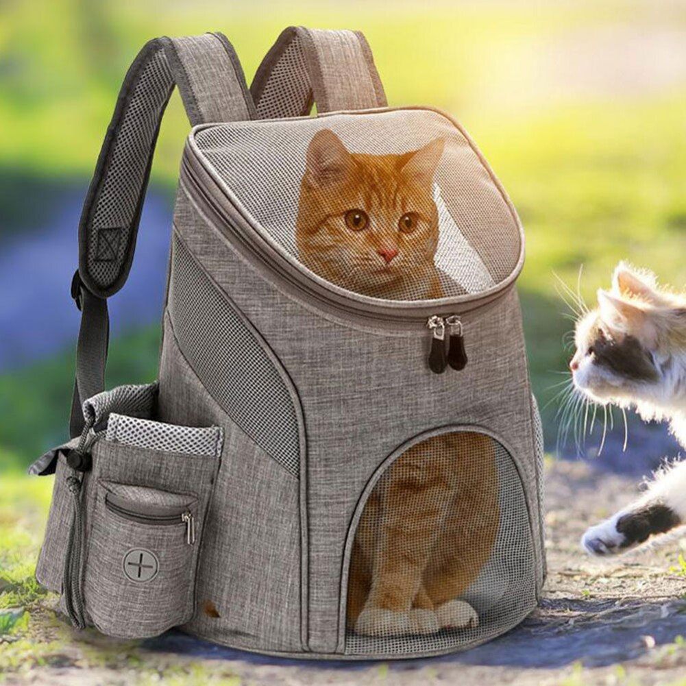 Sac À Dos En Maille Pliable Pour Animaux De Compagnie, Sacs Respirants Pour Chiens Et Chats, Voyage En Plein Air, Camping, Accessoires, Fournitures