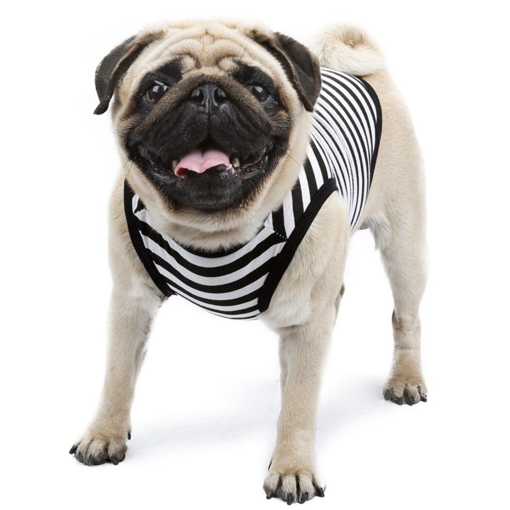 Vêtements Rayés En Coton Pour Chien, Confortable, Respirant, Décontracté, Accessoires Pour Animaux De Compagnie, Été