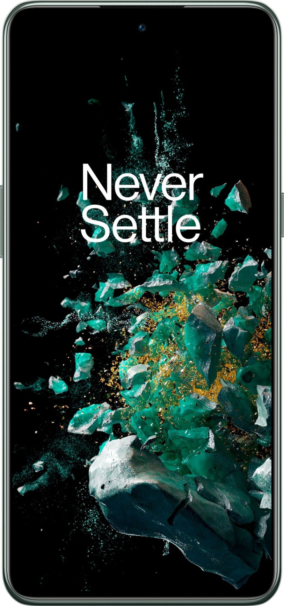OnePlus 10t