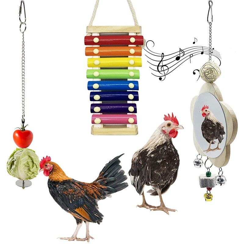 Jouet En Xylophone De Poulet 3 Pièces, Support De Fruits En Brochettes De Légumes De Poulet, Jouets Miroir De Poulet, Accessoires De Poulailler