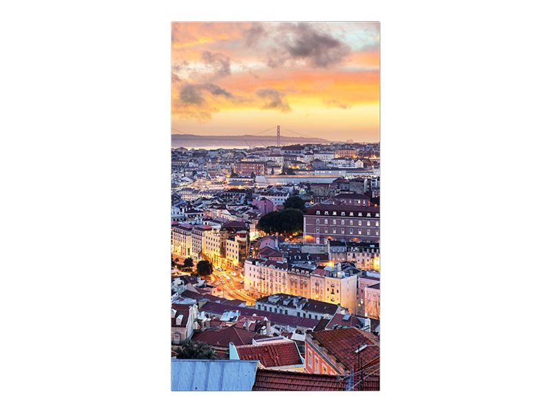 Samsung VH55B E - vue 6