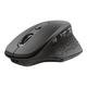 Trust Ozaa - Souris - ergonomique - 6 boutons - sans fil - récepteur sans fil USB - noir