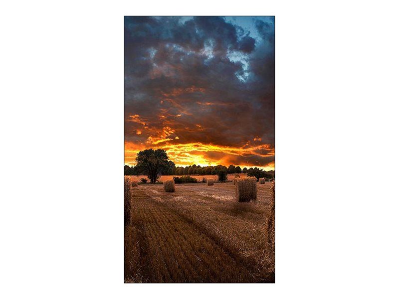 Samsung SAMSUNG 46 VM46B U - vue 2