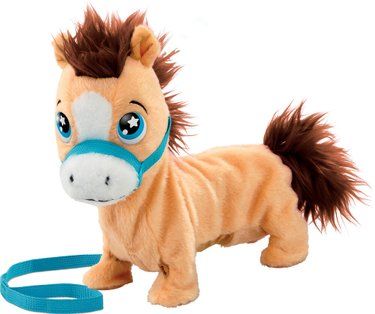 Goliath Pumpkin The Shetland Pony