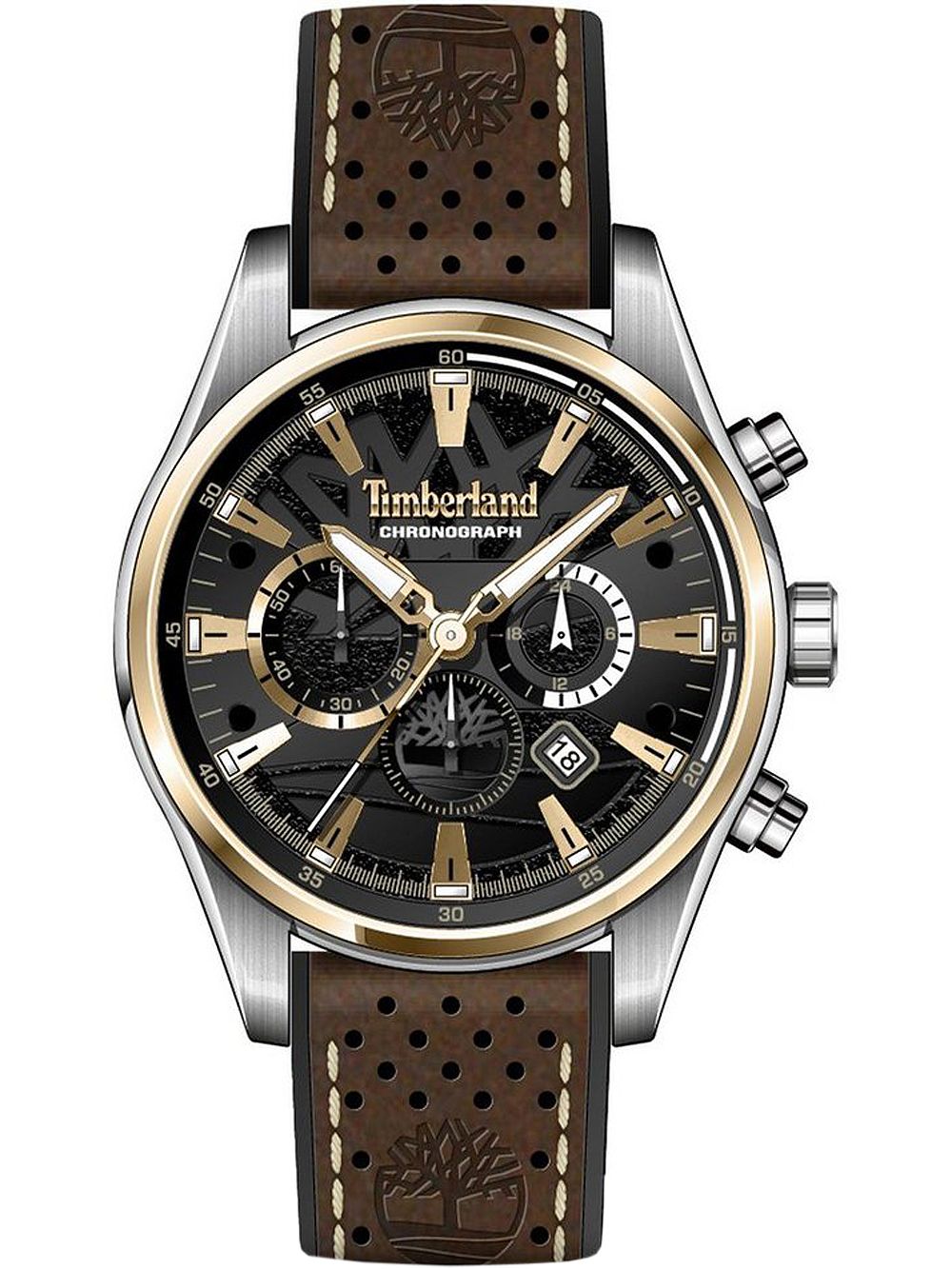 Montre Timberland Montre Homme TDWGC2102402 46mm 5ATM Unique
