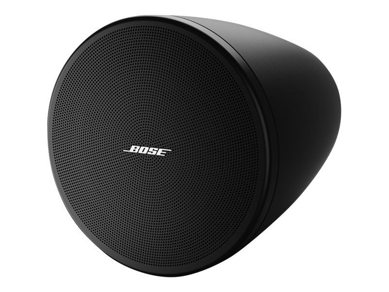 Bose DesignMax DM3P Enceinte