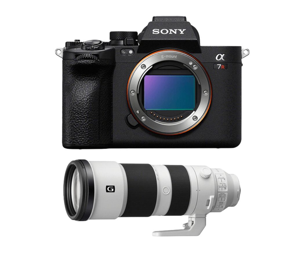 Sony A7R V + FE 200 600mm f5.6 6.3 G OSS - vue 2