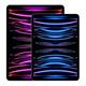 Apple iPad Pro 12,9 Wi-Fi + Cellular 2022 128Go gris sidéral