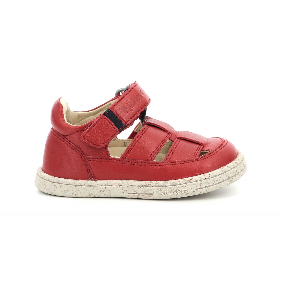 tractus-24-rakuten-3616428197993