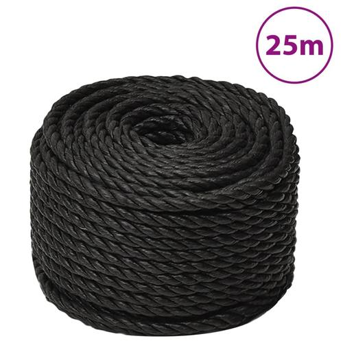 Vidaxl Corde De Travail Noir 16 Mm 25 M Polypropylène