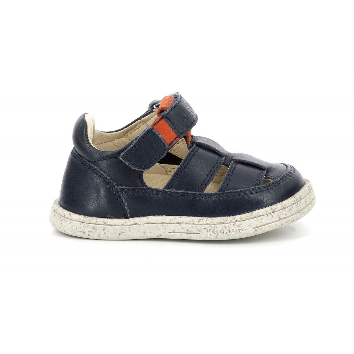 tractus-18-rakuten-3616428199539