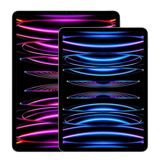 Apple iPad Pro 11" Wi-Fi + Cellular 2022 512Go gris sidéral