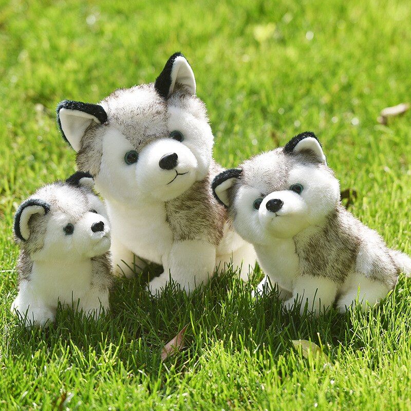 Mignon Peluche Chien 20-30 Cm Peluche Loup Animaux En Peluche Belle Peluche Belle Bébé Poupée Moelleux Cadeau D'anniversaire Pour Les Enfants