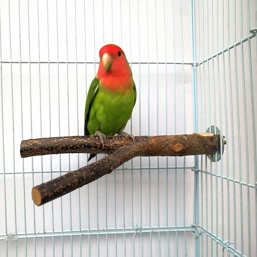 Support De Branche Pour Animaux De Compagnie Fourchette De Perroquet En Bois Bouche D'oiseau Porte-Jouet En Bois Organisateur
