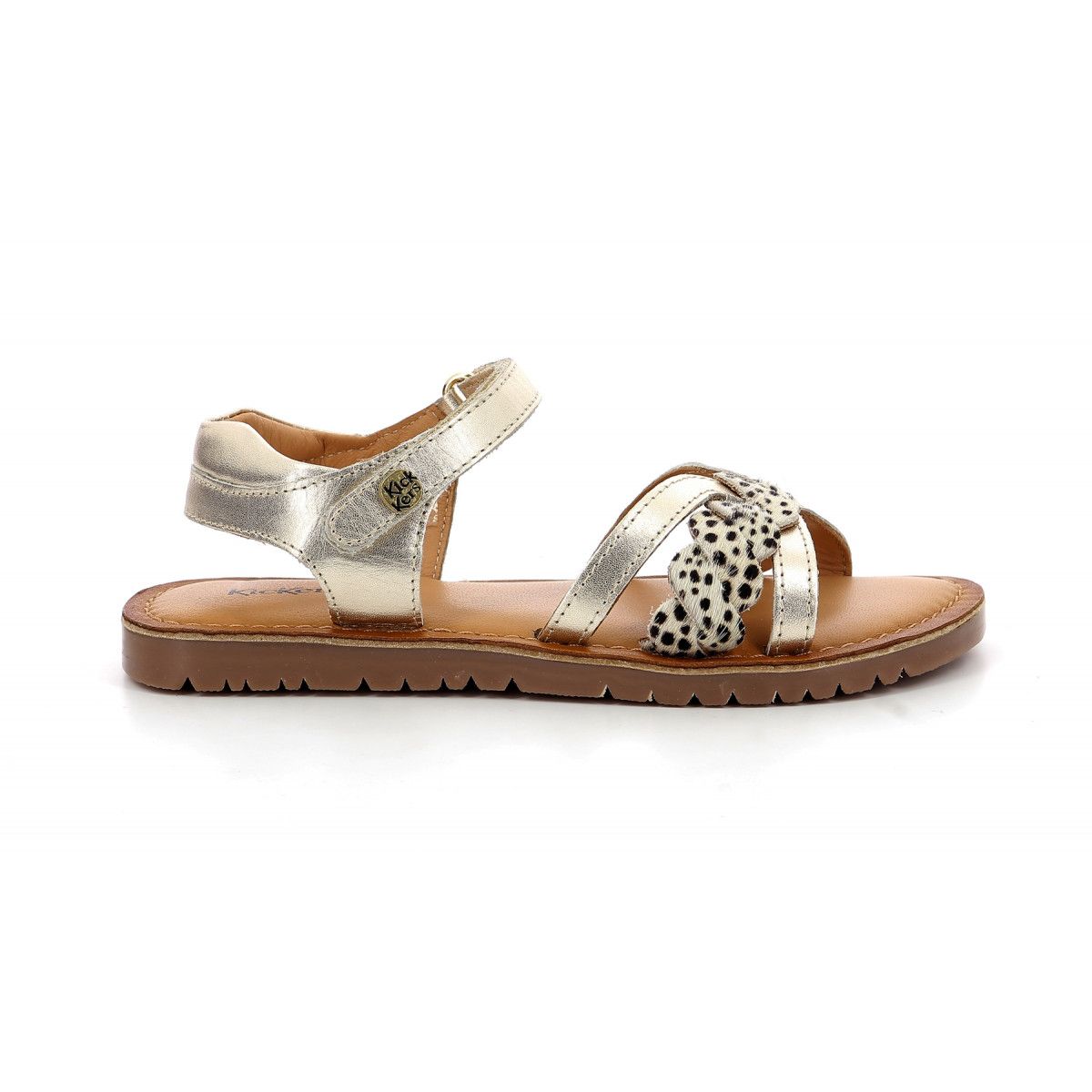 betty-35-rakuten-3616428263506