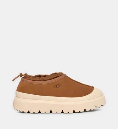 Baskets UGG Tasman Weather Hybrid