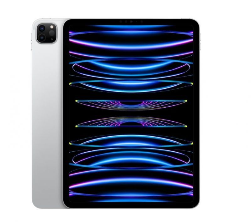 TAB11 Apple iPad Pro 11 Wi-Fi + Cellular 2TB silber (4.Gen.) *NEW*