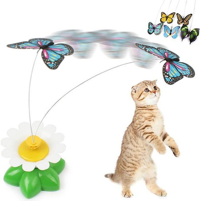 Jouet Chat Interactif Jouet Electrique Papillon Jeux Chat Chaton M26852
