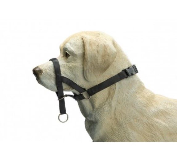 Dog Control Pour Chien Taille 5, Tour De Museau 44 Cm