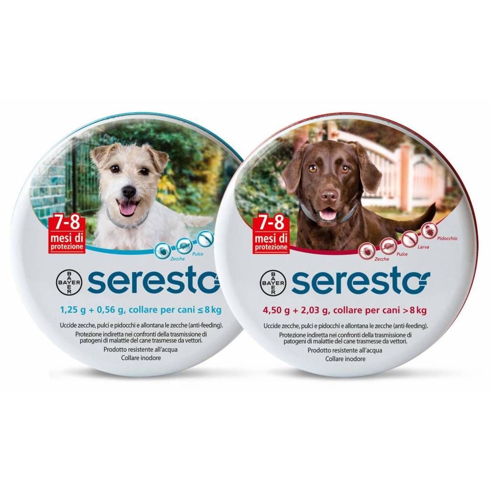 1 XBAYER SERESTO COLLIER POUR CHIEN 8 KG