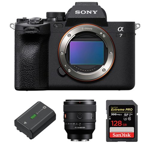 Sony Alpha A7 IV + FE 50mm f1.4 - vue 2