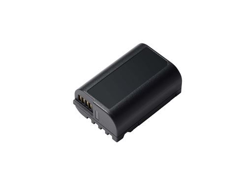 Panasonic Batterie pour Lumix S5 - DMW-BLK22E