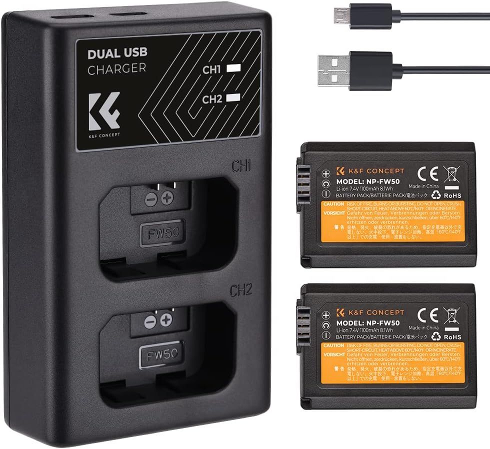 NP-FW50 Chargeur de Batterie pour Appareil Photo, Compatible avec Sony A6000, A6500, A6300, A6400, A7, A7II, A7RII, A7SII, A7S,A7S2,A7R,A7R2,A55,A5100,RX10 (2PCS, Micro USB Câble, 1100mAh)