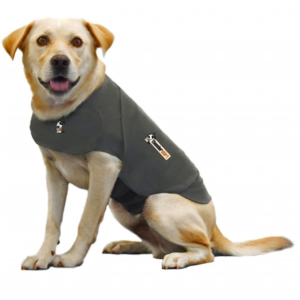 Meilleurs prix pour Thundershirt pour Chien M