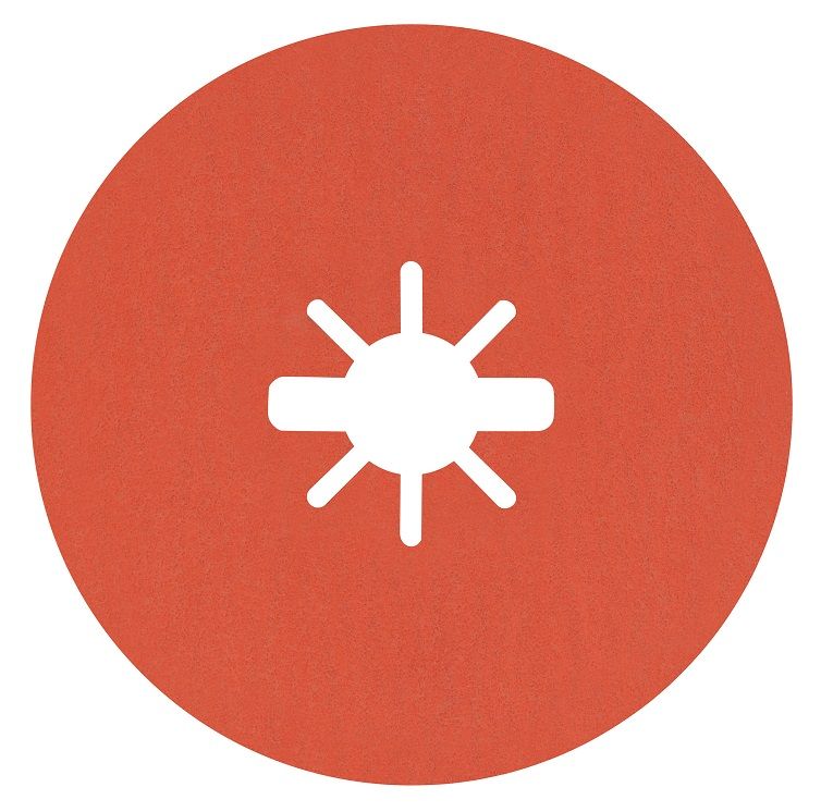 Bosch Disque Prisma Expert R781 - vue 2