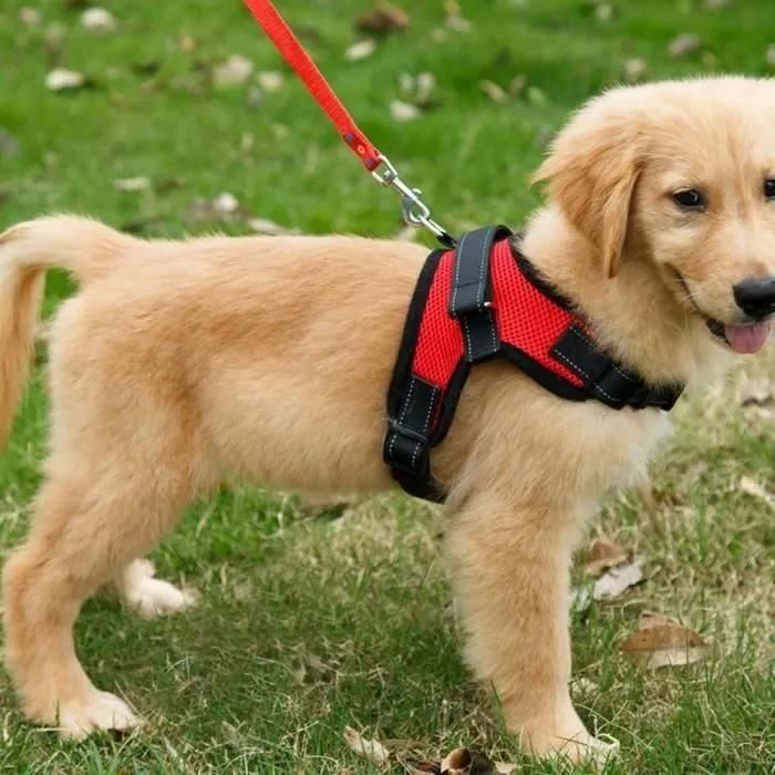 Meilleurs prix pour Haopyou- S Harnais Chien Anti Traction Harnais De Securite Pour Chien Rflchissant Gilet Pour Randonne Trajet Voiture