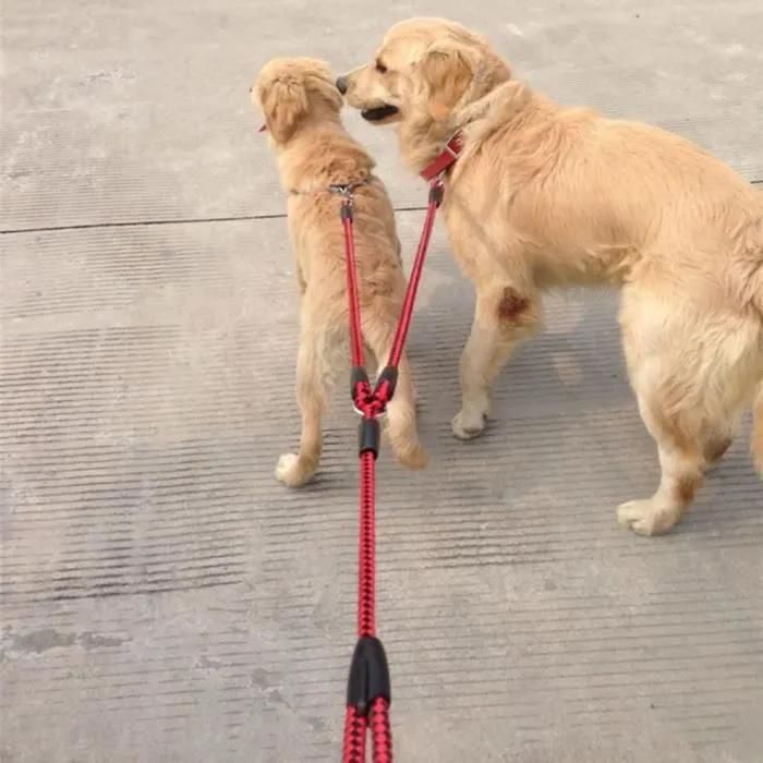 Comparer les prix de Laisse De Chien Double En Ruban De Nylon Solide Une Corde De Traction Enchevêtrement Tressée, Rouge Et Noir