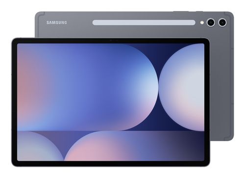 Tablette Samsung Galaxy Tab S10+ Wi-Fi 256 Go / 12 Go - 12,4 pouces - Gris