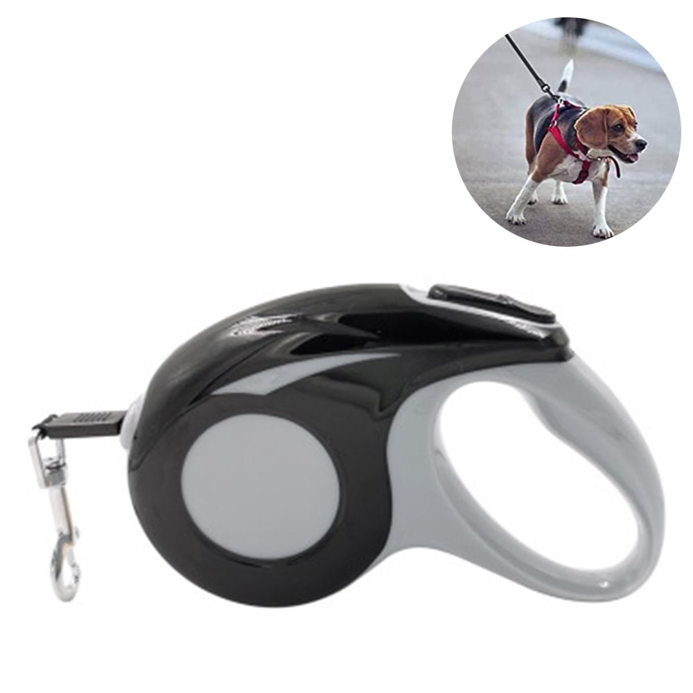 Laisse Pour Chien Rétractable De 5 M, Laisse De Marche Pour Chien Parfaite Pour Les Grands Et Moyens Petits Chiens, Système Break & Lock