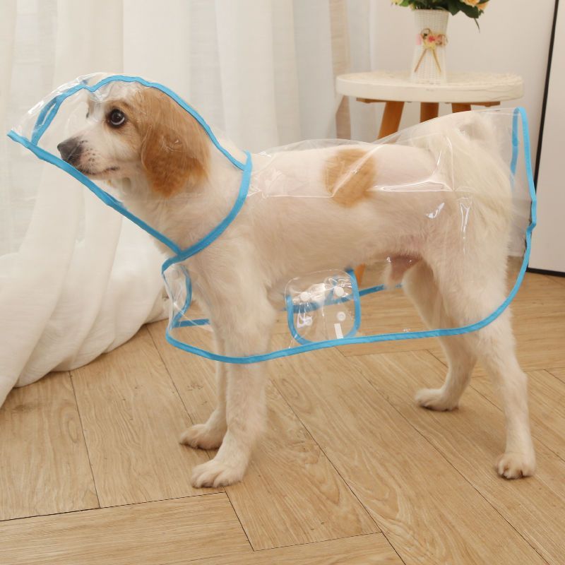 Imperméable Imperméable Transparent Pour Chien,Manteau De Pluie,Vêtements D'extérieur Pour Animaux De Compagnie,Petits Et Moyens Chiens,Bouledogue Français,Chiot,Chat,Ten - Type Blue-S-Suit 1-2.2kg