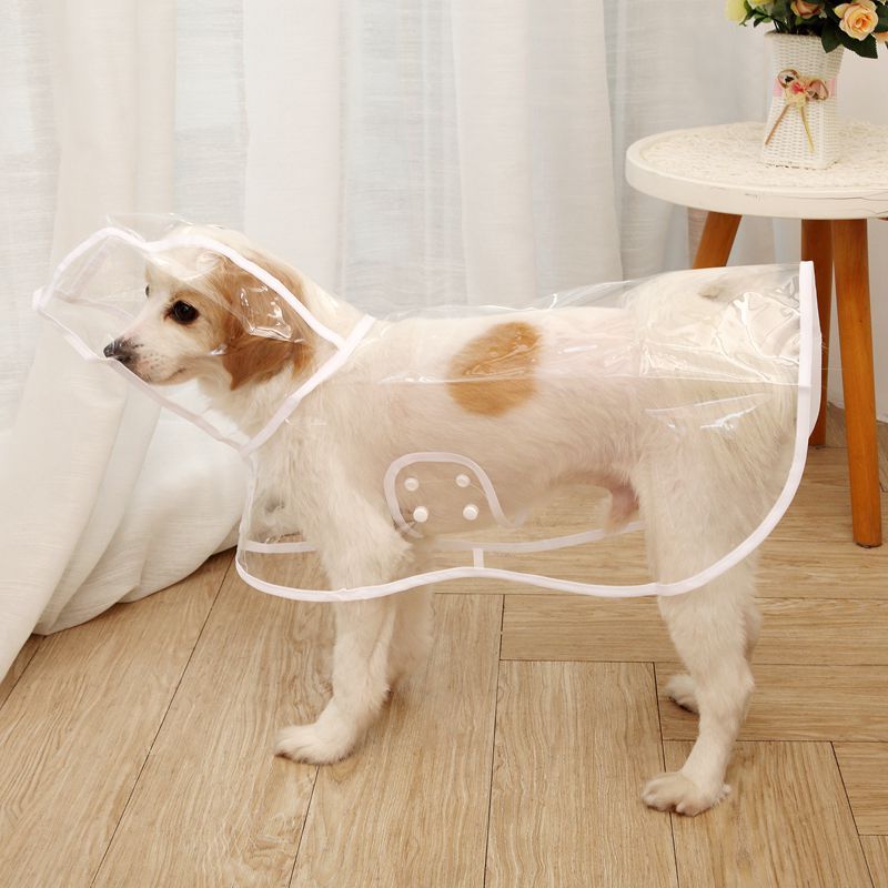 Imperméable Imperméable Transparent Pour Chien,Manteau De Pluie,Vêtements D'extérieur Pour Animaux De Compagnie,Petits Et Moyens Chiens,Bouledogue Français,Chiot,Chat, - Type White-Xxl-Suit 6.5-9kg