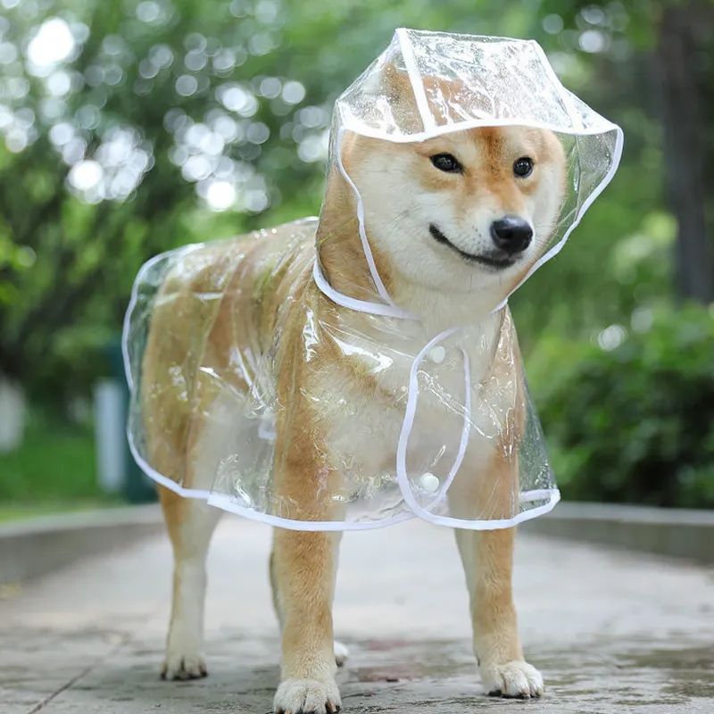 Poncho De Pluie À Capuche Transparent Pour Animaux De Compagnie,Vêtements De Pluie Pour Chiens,Veste Imperméable Pour Chiot,Vêtements En Pvc Souple Pour Petits Chiens - Type White-Xl #C