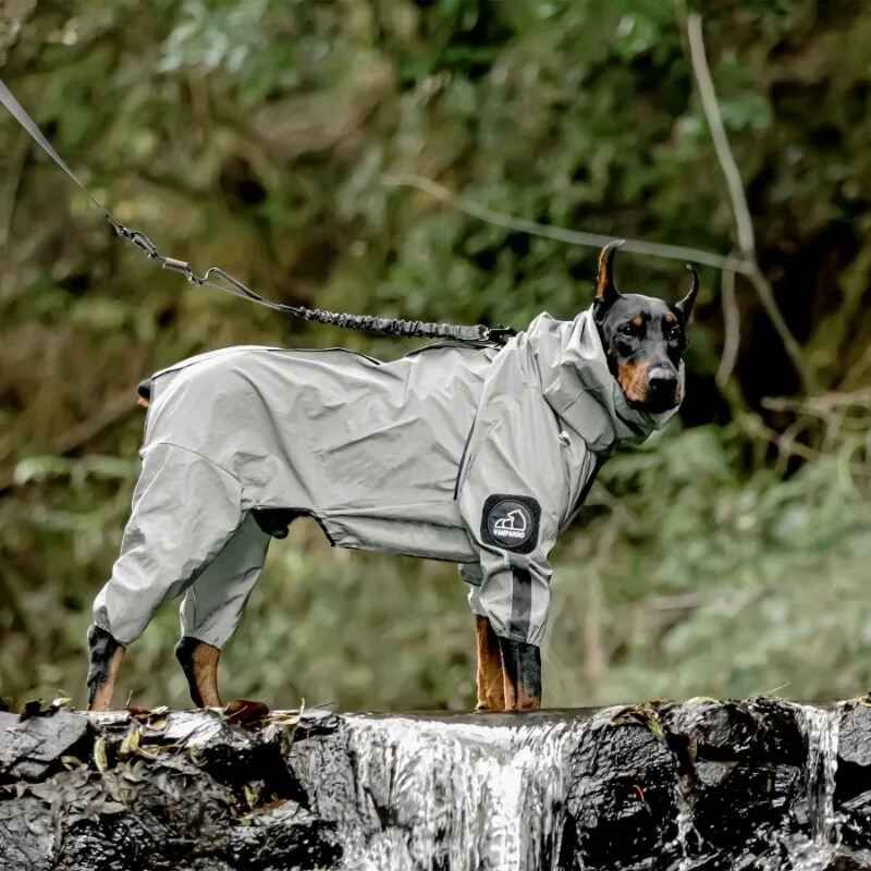 Combinaison Imperméable Pour Animaux De Compagnie,Vêtements D'extérieur,Veste Pour Petits,Moyens Et Grands Chiens,Fournitures Pour Animaux De Compagnie,Crème Solaire - Type Xl
