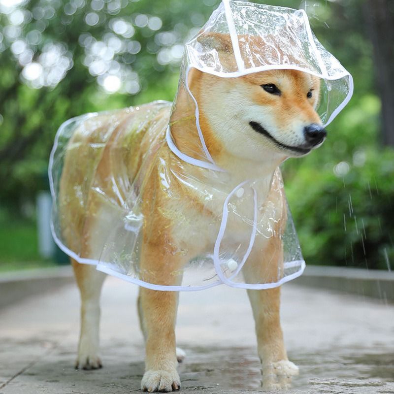 Veste Imperméable À Capuche Pour Animaux De Compagnie,Poncho De Pluie Transparent,Vêtements De Pluie Pour Petits Chiens,Poncho De Pluie Pour Chiot,Pvc Souple - Type Transparent-6xl