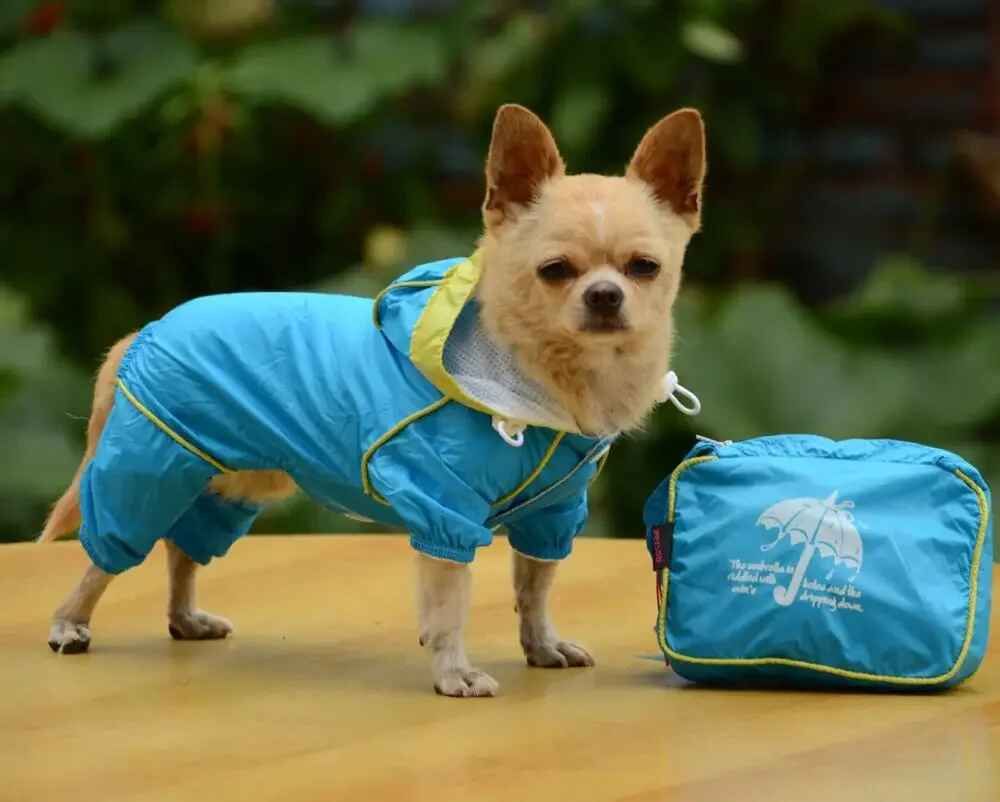 Veste À Capuche Imperméable Pour Petit Animal De Compagnie,Manteau De Pluie,Vêtements Slunicef,Combinaison Pour Chien,Vêtements En Déclin Pour Petits Chiens,Imperméables Pour Fille Et - Type Blue-L