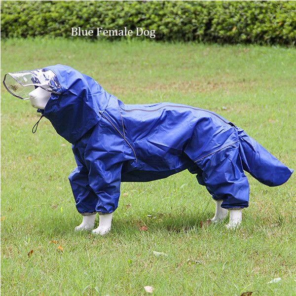 Poncho De Pluie Double Couche Avec Capuche Pour Chien Et Chat,Imperméable,Coupe-Vent Et Imperméable,Fournitures Pour Animaux De Compagnie,Extérieur,Grand,Moyen,1 Pièce - Type Blue Style B-28