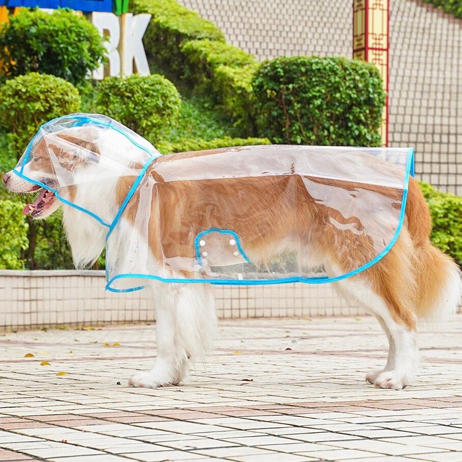 Imperméable Transparent Pour Animaux De Compagnie,Veste De Pluie,Pvc Souple,Manteau Imperméable Pour Chien,Moyen Chiot,Poncho De Pluie Pour Chien,Marche En Plein Air,Vêteme - Type Bleu Ciel-26-35kg