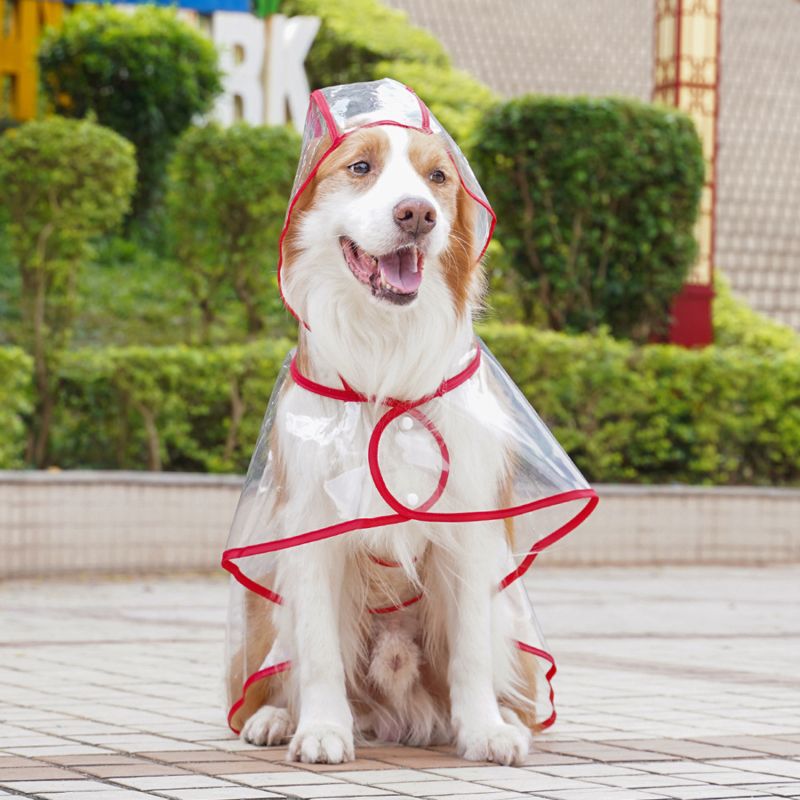 Imperméable Transparent Pour Animaux De Compagnie,Veste De Pluie,Manteau Imperméable Pour Petits Et Moyens Chiens,Poncho Pour Chien En Peluche,Vêtements Pour Animaux De Compagnie - Type Red-49x58x1