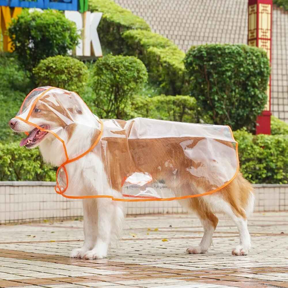 Imperméable Extérieur Transparent Pour Gros Chien,Golden Retriever,Labrador Border Collie,Manteau Pour Grand Chien - Type Orange-Xs