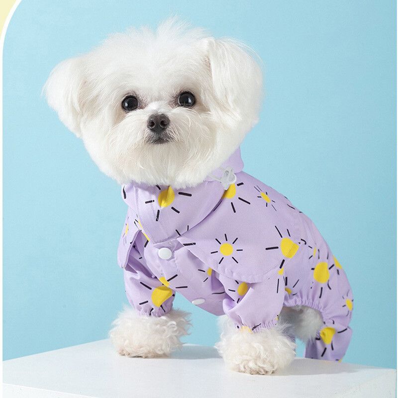 Imperméable Pour Chien De Printemps Et D'été Vêtements Pour Chiens Marchant Jour De Pluie Chiot Everak Violet Imperméable Pour Animaux De Compagnie Teddy Vêtements Imperméables Xs- - Type Purple-Xs