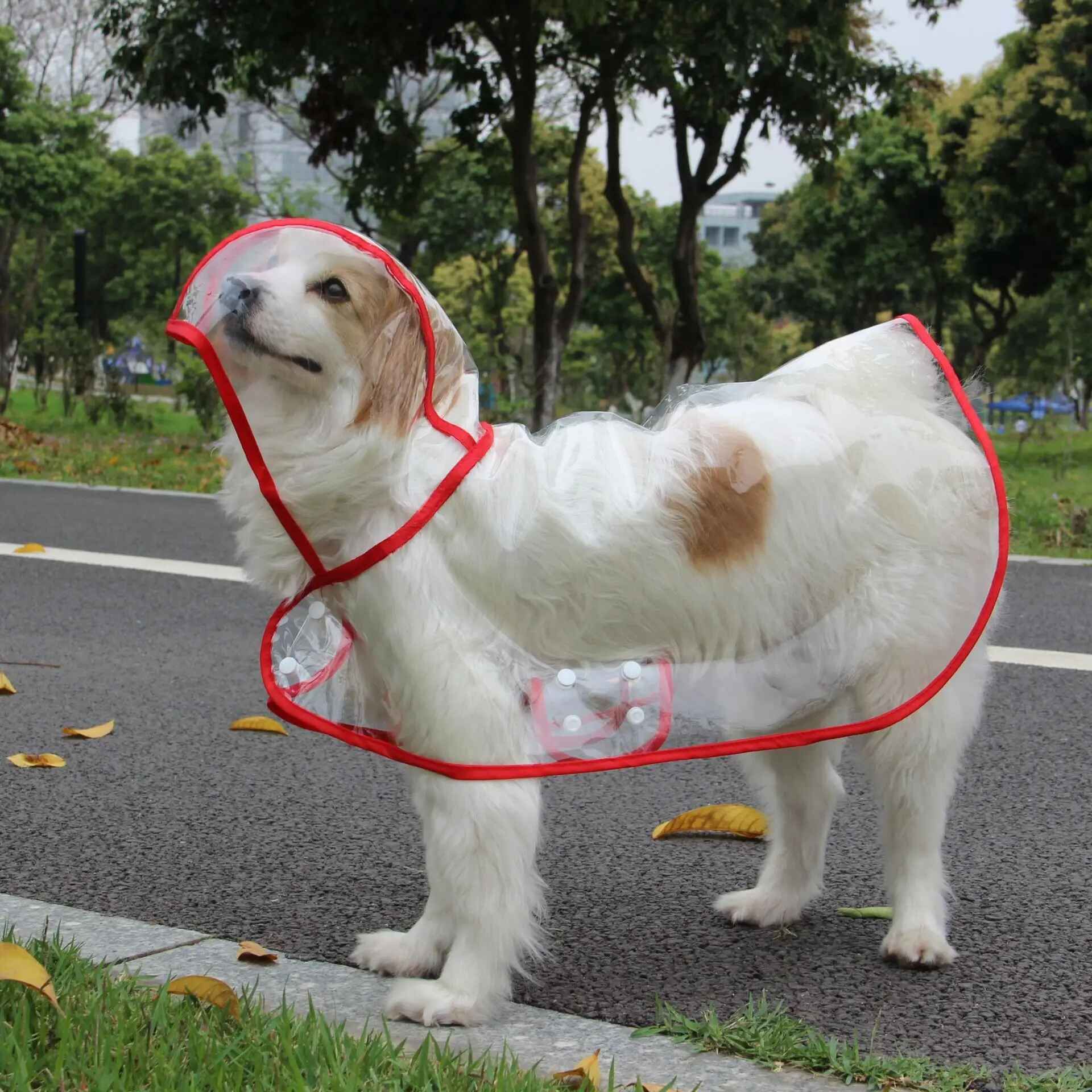 Xs-8xl Pet Chien Chiot Vêtements Imperméable Transparent Vêtements De Pluie Document De Mode Bord Snap Design Manteau De Pluie Pour Grands Chiens Costumes - Type Rouge-L #B