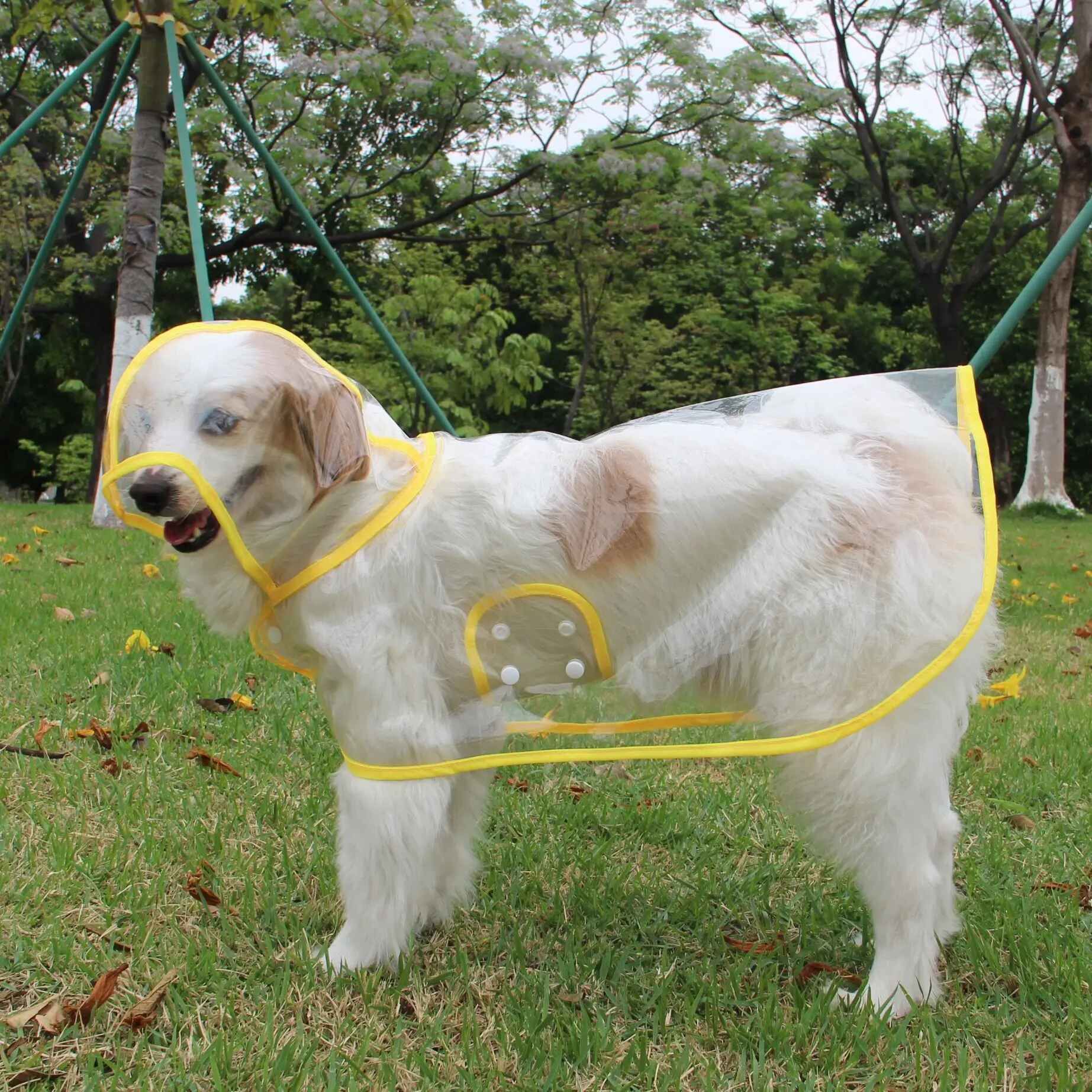 Xs-8xl Pet Chien Chiot Vêtements Imperméable Transparent Vêtements De Pluie Document De Mode Bord Snap Design Manteau De Pluie Pour Grands Chiens Costumes - Type Yellow-8xl #B