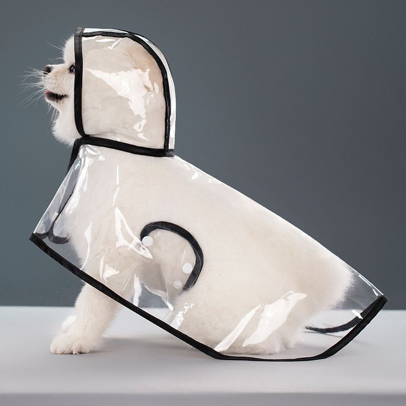 Imperméable Transparent Pour Animaux De Compagnie,Vêtement Épais,Coupe-Vent Et Imperméable,Pour Grand,Moyen Et Petit Chien,En Plastique F, - Type Black-M