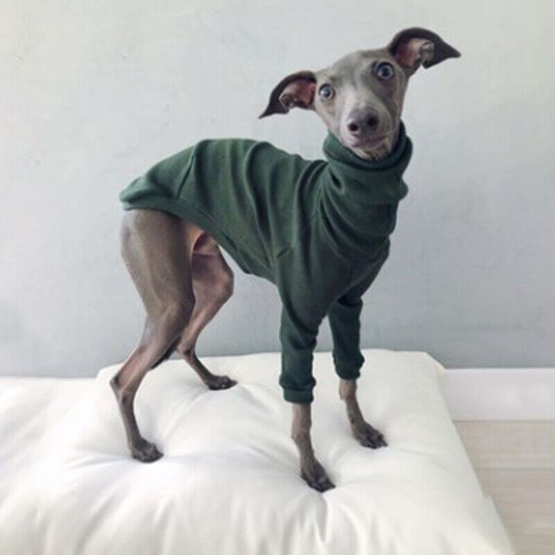 Combinaisons À Capuche Imperméables À Col Haut Pour Chiens,Vêtements Pour Animaux De Compagnie À Deux Pattes,Fournitures Pour Chiens,Lévrier,Printemps,Automne, - Type Army Green-2xl