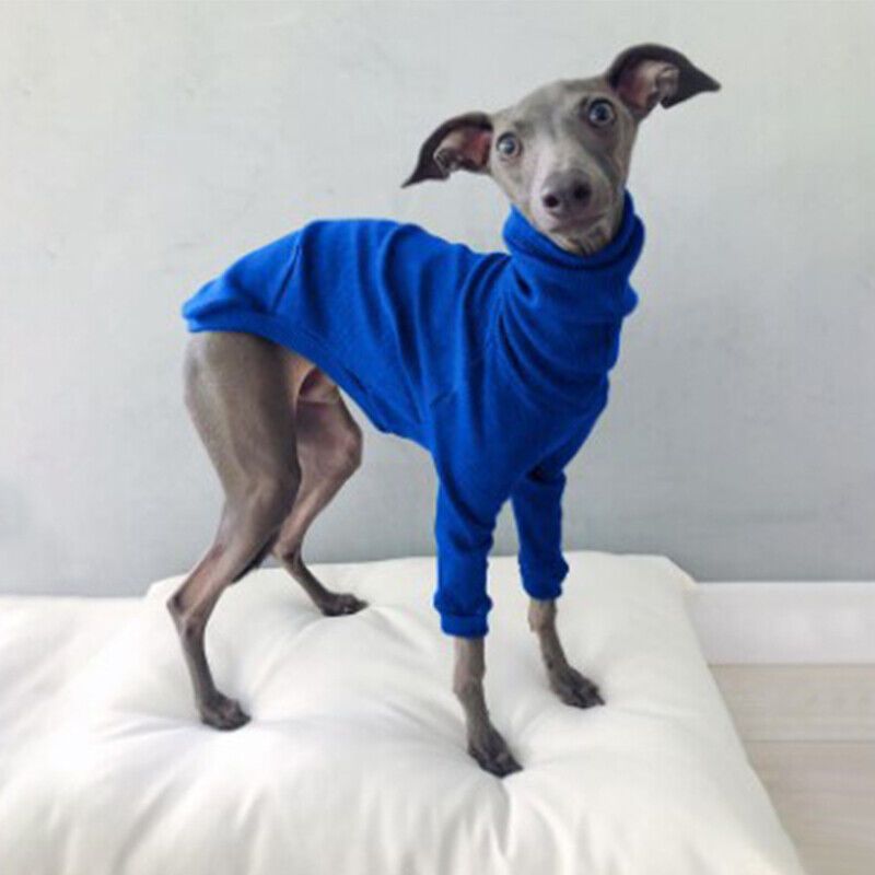 Combinaisons À Capuche Imperméables À Col Haut Pour Chiens,Vêtements Pour Animaux De Compagnie À Deux Pattes,Fournitures Pour Chiens,Lévrier,Printemps,Automne, - Type Blue-L